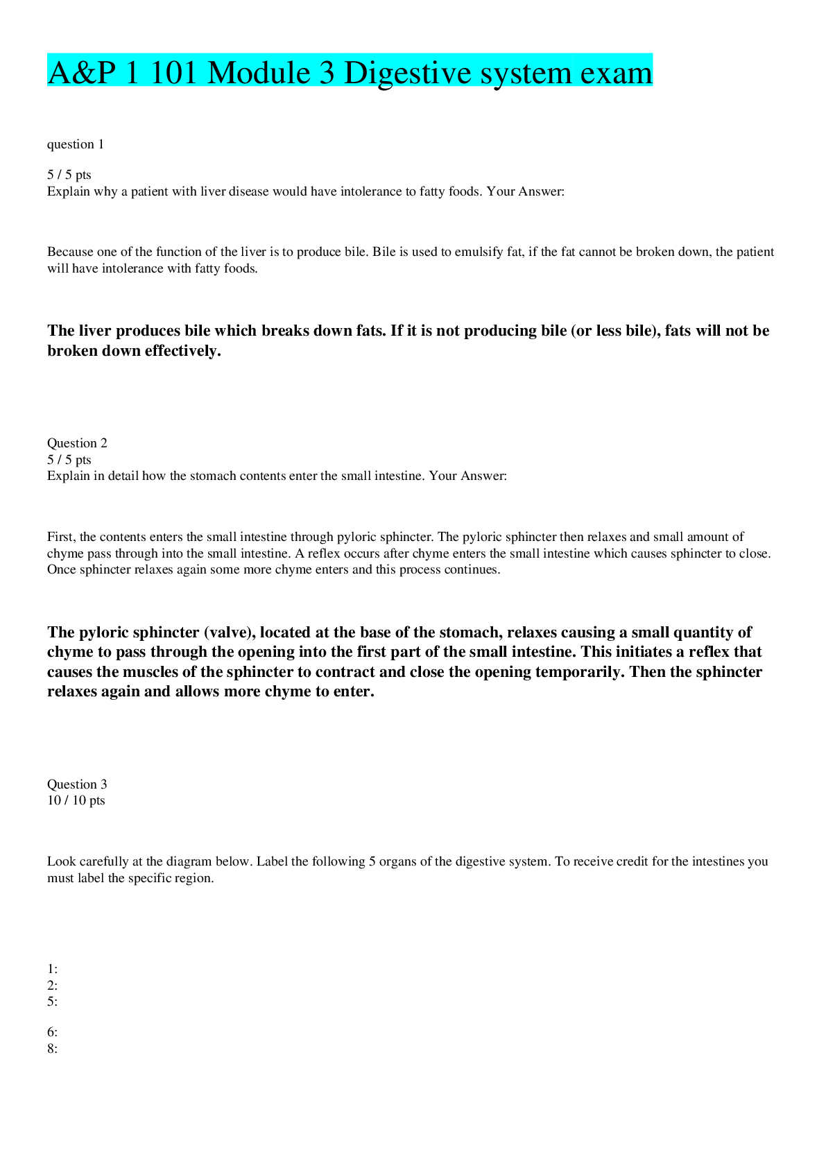 Preview image for A&P 1 101 Module 3 Digestive system exam